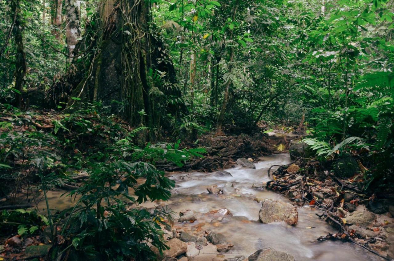 Oyo 441 Kandy Hill Bungalow Bagian luar foto